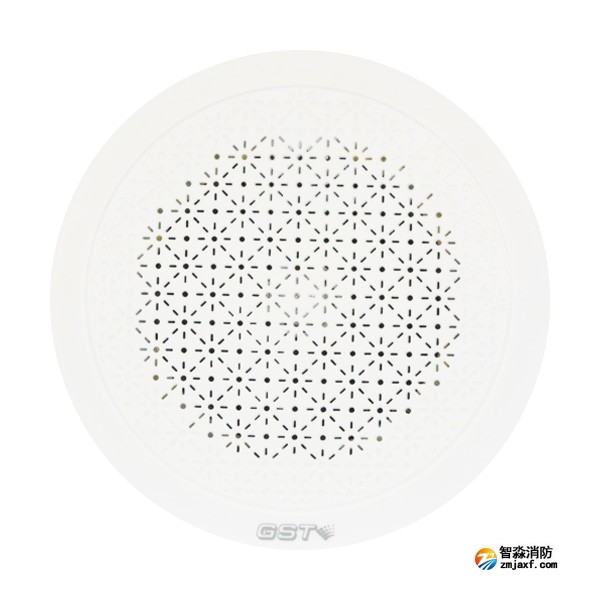 海灣HY6251吸頂音箱